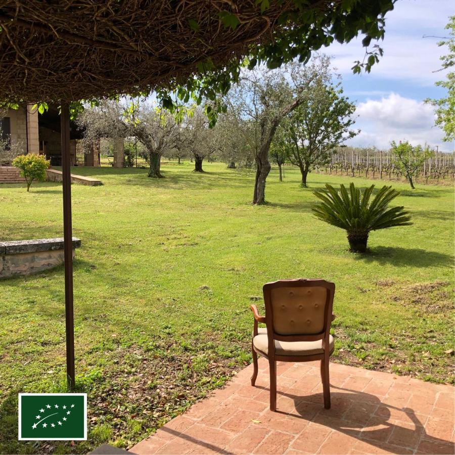 Agriturismo Eco-Bio Villa Vacasio Pitigliano Exterior photo